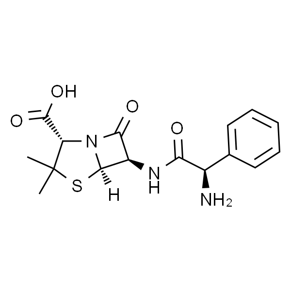 氨苄青霉素 氨苄西林